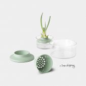 Regrow Kit For Herbs and Vegetables,TASTY+ - Jade Green